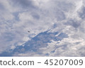 在天空的鳥飛行與雲彩 45207009