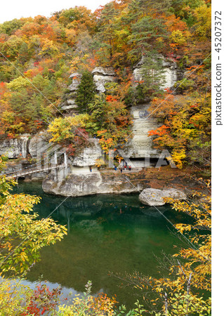 Hashiri of the tower Autumn leaves Suspension bridge 45207372