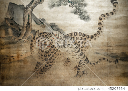 Tiger and leopard Tiger and leopard 45207634