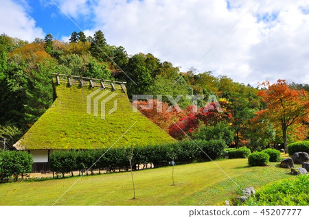 福井縣大井町大通山青年旅行村,草屋和秋葉在琉森館酒店 福井縣大井町大通山青年旅行村,草屋和秋葉在琉森館酒店 45207777