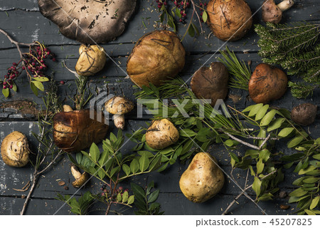 yellow knight mushrooms on a table 45207825