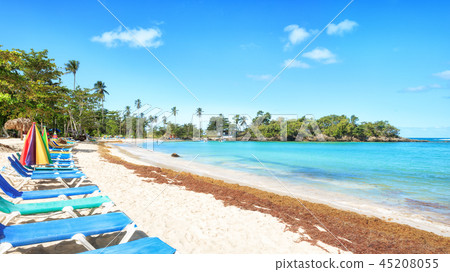 Vacation in Dominican Republic 45208055