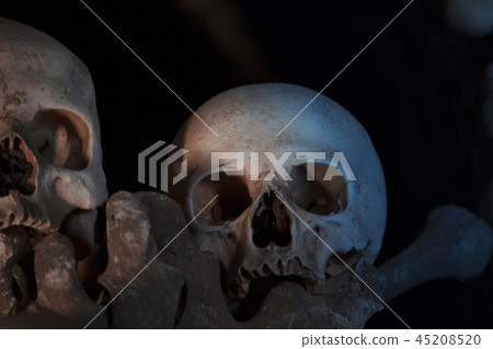 skulls in Kostnice church 45208520