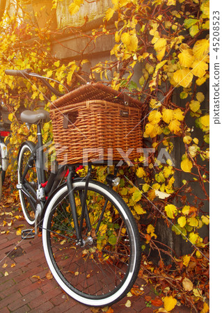 bike is parked near the house in Amsterdam. 45208523