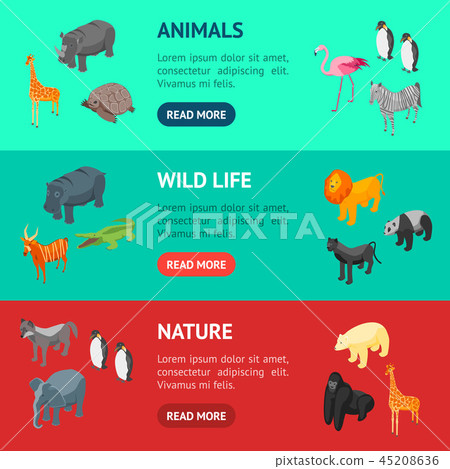Wild Animals 3d Banner Horizontal Set Isometric View. Vector 45208636