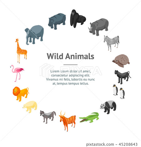 Wild Animals 3d Banner Card Circle Isometric View. Vector Wild Animals 3d Banner Card Circle Isometric View. Vector 45208643