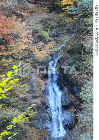 [Yamanashi Prefecture] Nishizawa Valley_Okubo Falls 45208885