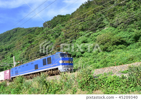 Road from Kamogawa River to Katsuki Road from Kamogawa River to Katsuki 45209340