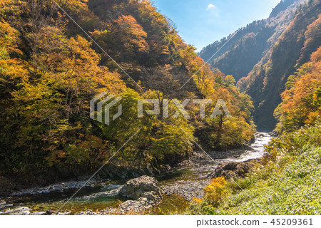 清州峽谷秋葉 45209361