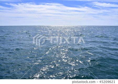 外海 外海 45209621