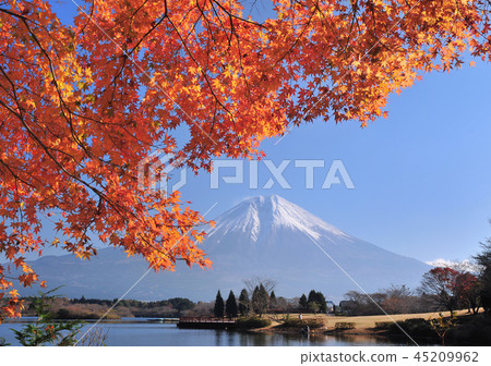 Momuki和Mt. Fuji by Lake Tanuki-77500 Momuki和Mt. Fuji by Lake Tanuki-77500 45209962