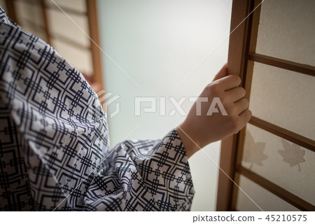 Yukata Ryokan 45210575