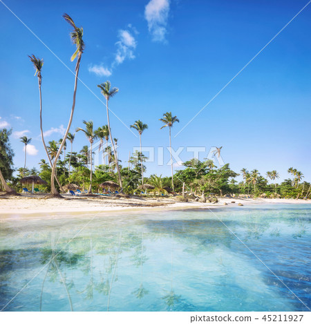 Vacation in Dominican Republic 45211927