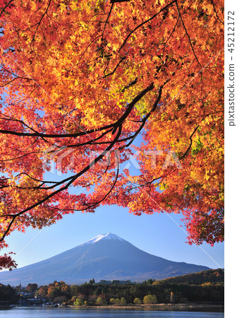 由河口湖和富士山77439的Momiji 45212172