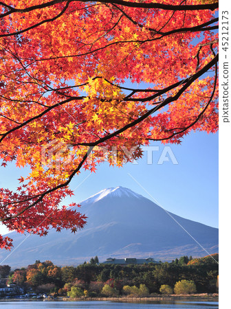 在河口湖-77441的Momiji和富士山 45212173