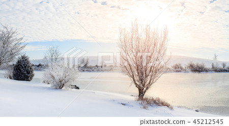 Winter scene in Central Kentucky 45212545