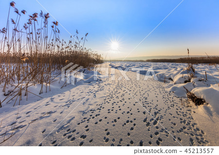 Comana lake in winter Comana lake in winter 45213557
