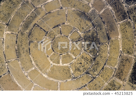 Medieval carved stone snail staircase hand 45213825
