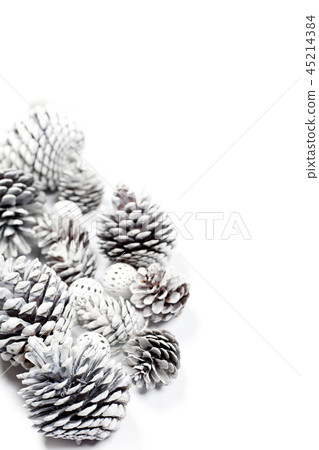 White decorative pine cones. 45214384