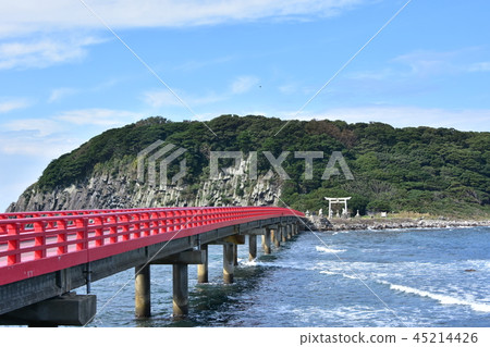 Oshima Oshima 45214426