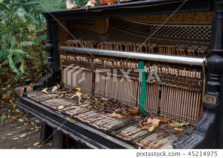 The insides of an old ruined piano 45214975