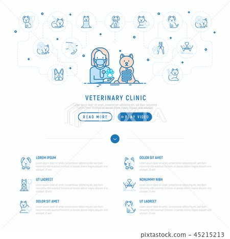 Veterinary clinic concept. Thin line icons 45215213