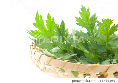 Wormwood 45215365