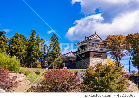 《長野縣》上田城跡公園南塔秋葉 45216365