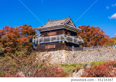 《長野縣》上田城跡公園南塔秋葉 45216367