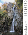 Hayato Otaki in the fall 45216750