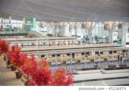 [Haneda Airport International Terminal] 45216874