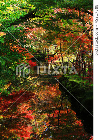 Takaoka Old castle park 45217589