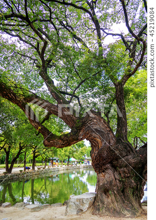 Jeollabuk-do, South Korea, Namwon-si, Gwanghanruwon 45219084