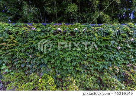 Jeollabuk-do, South Korea, Namwon-si, Gwanghanruwon Jeollabuk-do, South Korea, Namwon-si, Gwanghanruwon 45219149