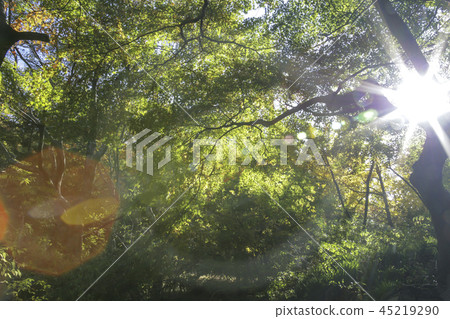 Jeollabuk-do, Korea, Gochang, Seonunsa 45219290