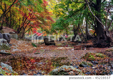 全羅北道，韓國，高敞，禪雲寺 45219337