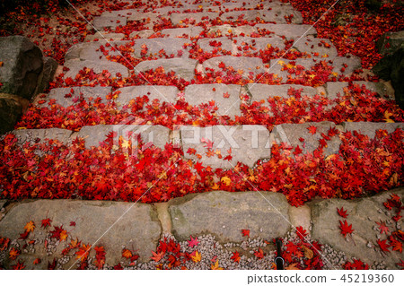 全羅北道，韓國，高敞，禪雲寺 45219360