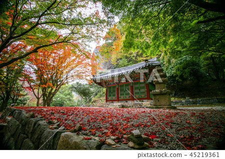 全羅北道,韓國,高敞,禪雲寺 全羅北道,韓國,高敞,禪雲寺 45219361
