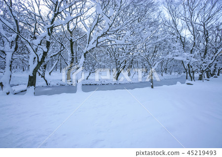 全羅北道，韓國，高敞，禪雲寺 45219493