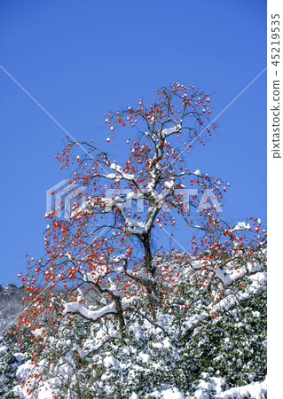 全羅北道,韓國,高敞,禪雲寺 全羅北道,韓國,高敞,禪雲寺 45219535