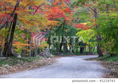 Jeollabuk-do, Korea, Gochang, Seonunsa 45219743