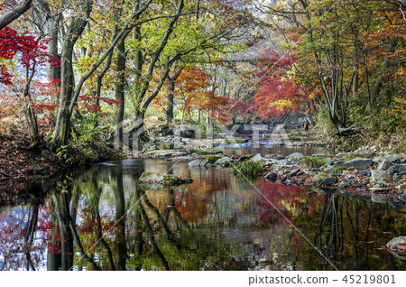 Jeollabuk-do, Korea, Gochang, Seonunsa 45219801
