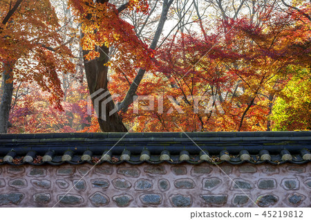 全羅北道,韓國,高敞,禪雲寺 全羅北道,韓國,高敞,禪雲寺 45219812