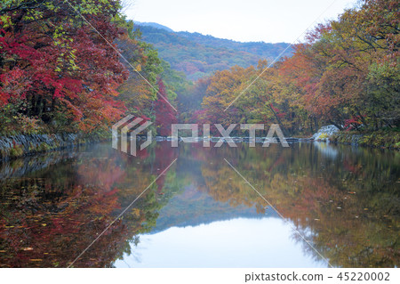 全羅北道,韓國,高敞,禪雲寺 全羅北道,韓國,高敞,禪雲寺 45220002