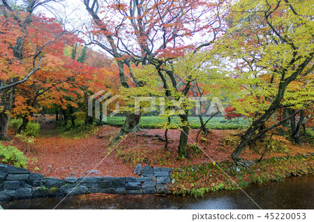 全羅北道,韓國,高敞,禪雲寺 全羅北道,韓國,高敞,禪雲寺 45220053