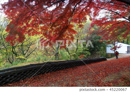 Jeollabuk-do, Korea, Gochang, Seonunsa 45220067