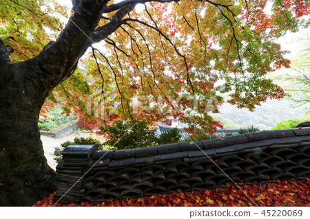 全羅北道，韓國，高敞，禪雲寺 45220069