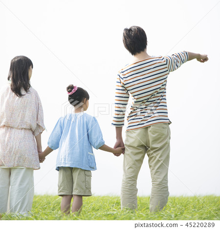 Rear view of a family holding hands in the meadow 45220289