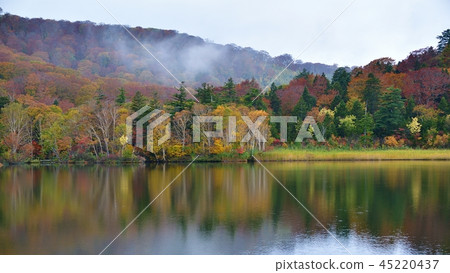 Collaboration of autumn leaves of mist and Hachimantai Onuma Collaboration of autumn leaves of mist and Hachimantai Onuma 45220437