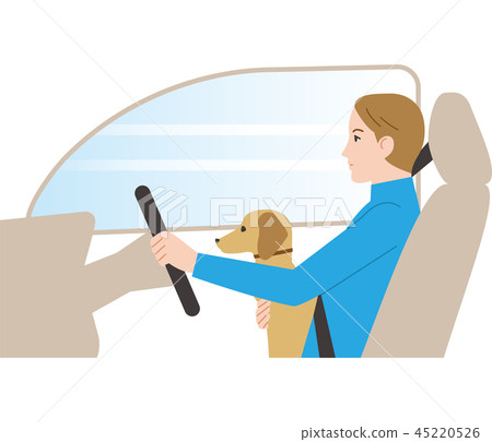 Dangerous driving. Driving while holding a pet. Dangerous driving. Driving while holding a pet. 45220526